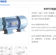 RXF57DV100L4/TF/ES1S減速電機(jī)型號解析