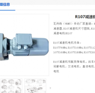 R107-229.95-YEJ-3KW-4P-M5-270°減速電機型號解析