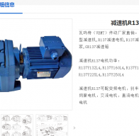 減速電機R137-5.15-55KW-M1型號解析