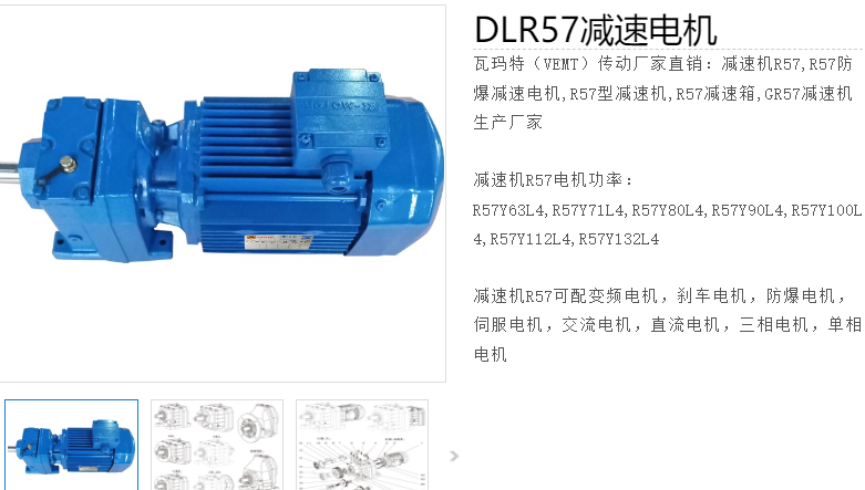 減速電機DLR57-29-Y290S-4-M6-R-1.1KW型號.png